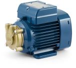 Electropompa cu turbina periferica PVm55 . Sunt recomandate pentru pomparea apei curate fara particule abrazive si a lichidelor chimice care nu afecteaza materialele din care este fabricata pompa. 